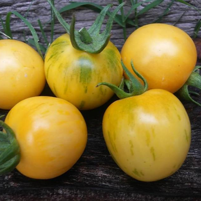 Tomate Cherry Topaz or Huan