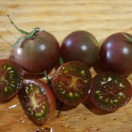 Tomate Black Cherry