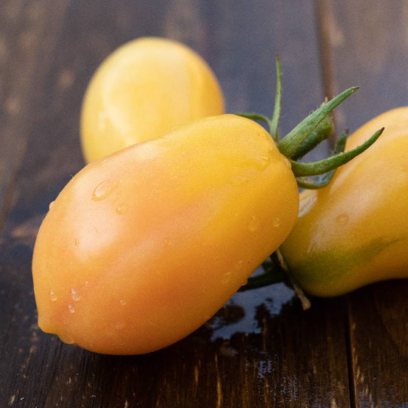 Tomate Yellow Bell