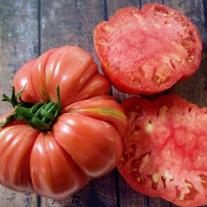 Tomate Opaco de Moreiras