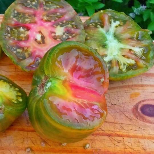 Tomate Cherokee Lime Stripes