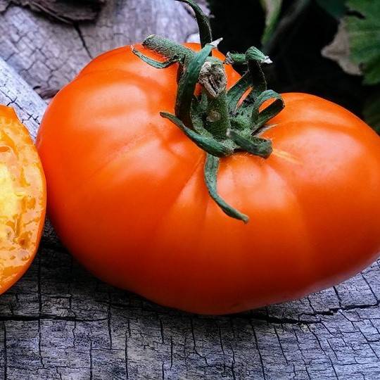 Tomate Orange Strawberry