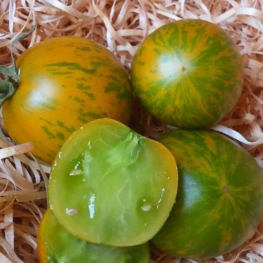 Tomate Green Zebra