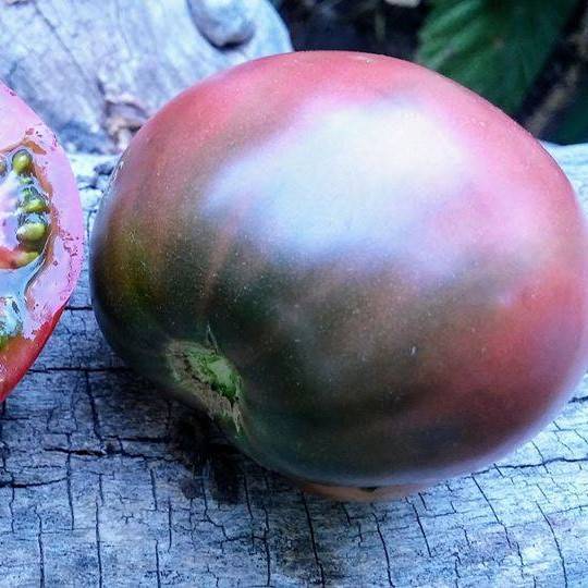 Tomate Cherokee Purple Heart