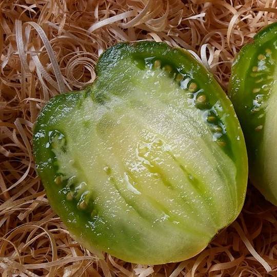 Tomate Reinhard's Green Heart