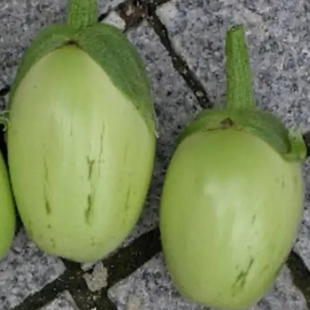 Berenjena Manzana Verde