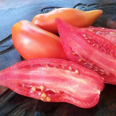 Tomate Espada de Samurai