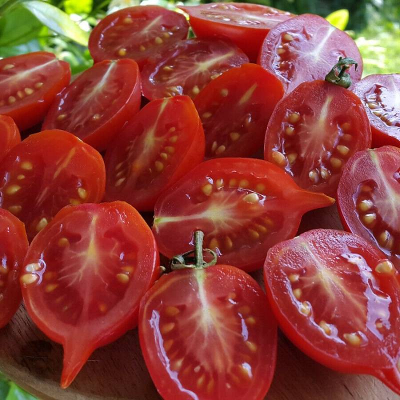 Tomate de Colgar Piennolo del Vesuvio