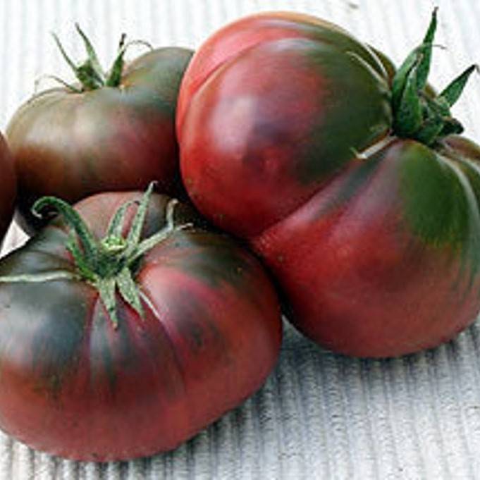 Tomate Negro de Tula