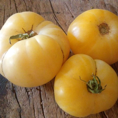 Tomate Cherokee White