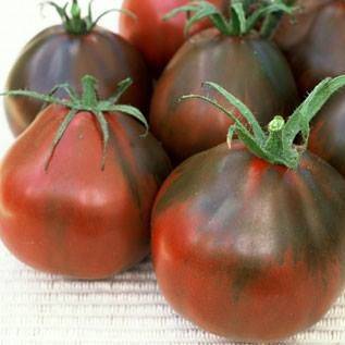 Tomate Black Pear