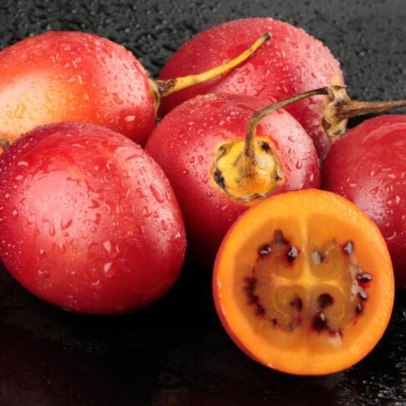 Tamarillo