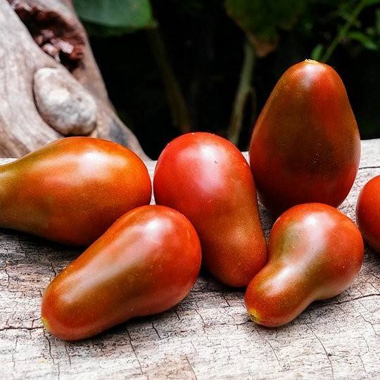 Tomate Cherry Chocolate Pear