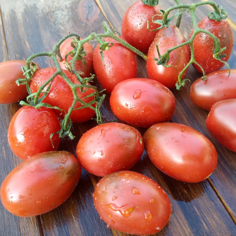 Tomate Cherry Black Perú