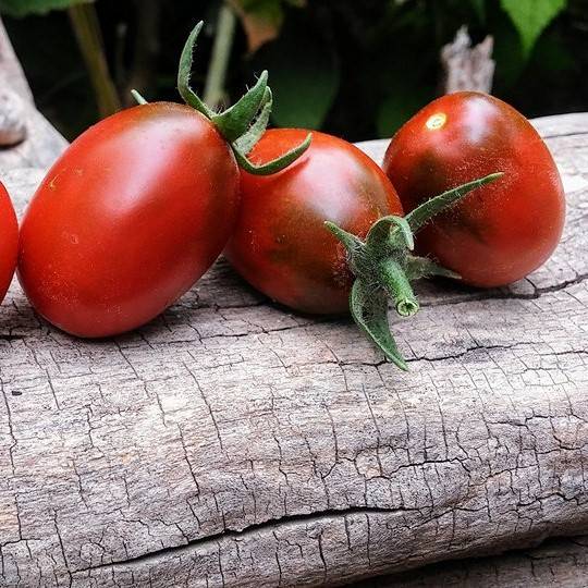 Tomate De Barao Braun