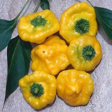 Ají Jamaican Hot Yellow