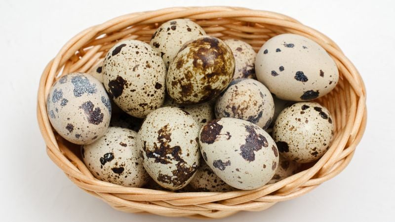 Telur Puyuh 1kg