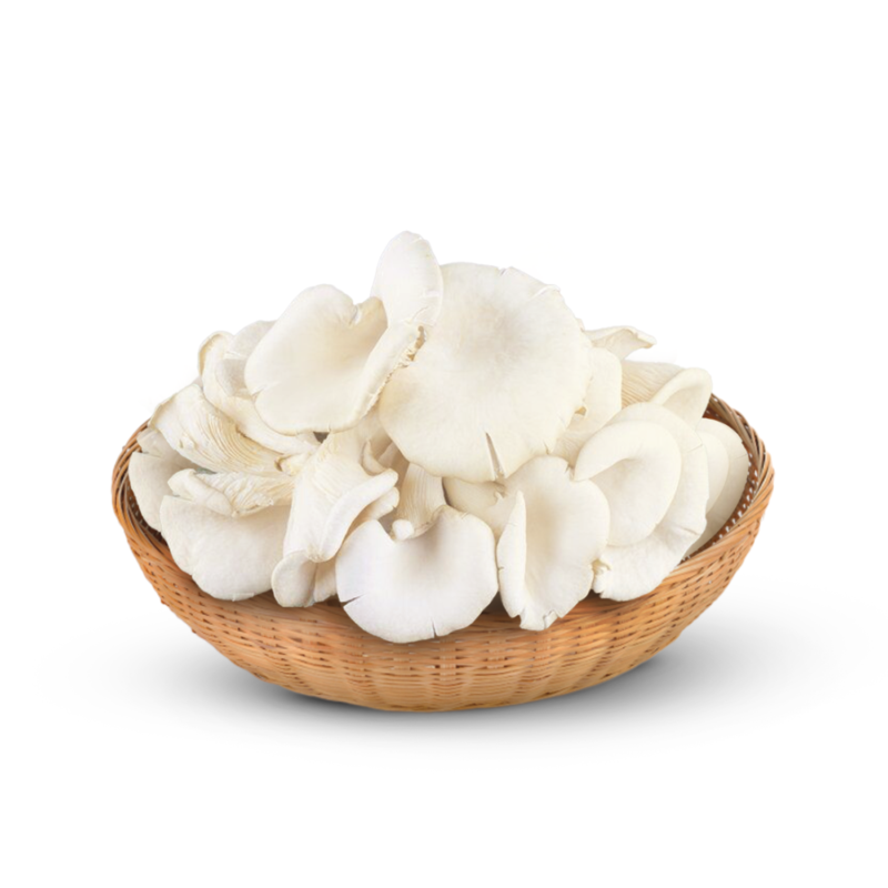 Jamur Tiram 1kg