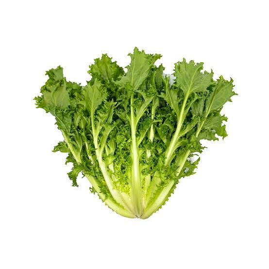 Endive 1kg