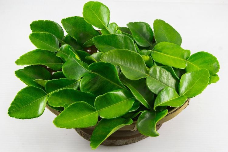 Daun Jeruk 1kg