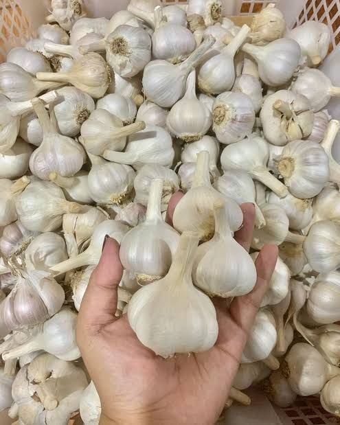 Bawang Putih kating 1kg