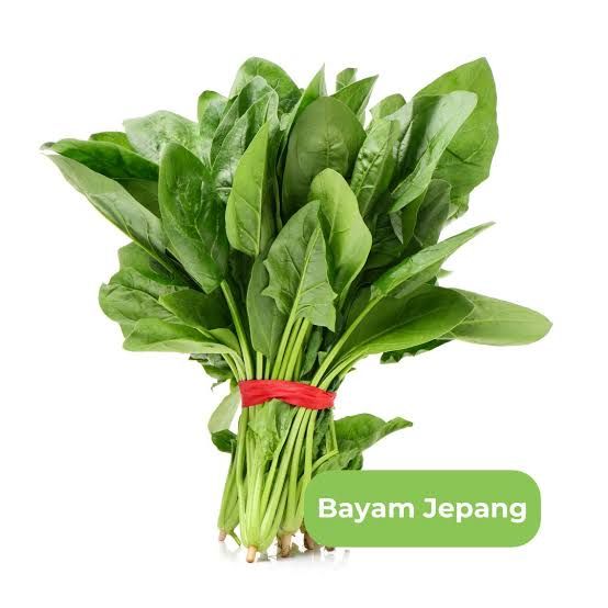 Horenso / Bayem Jepang 1kg