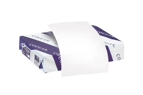 Paper: White Cover, 14" x 20" - 50/Pack