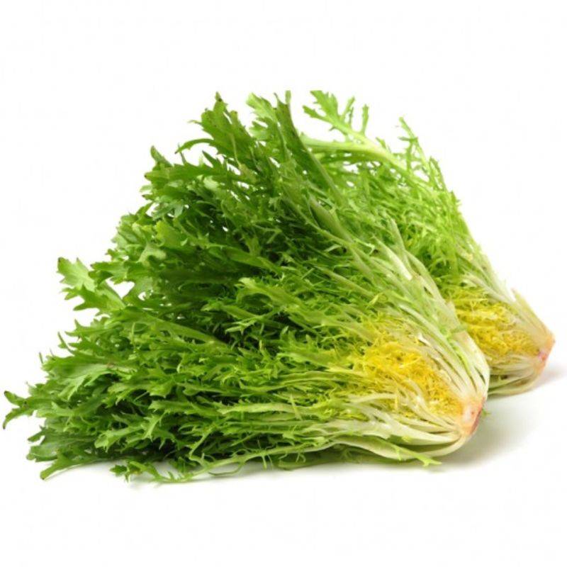 Salată Frisee