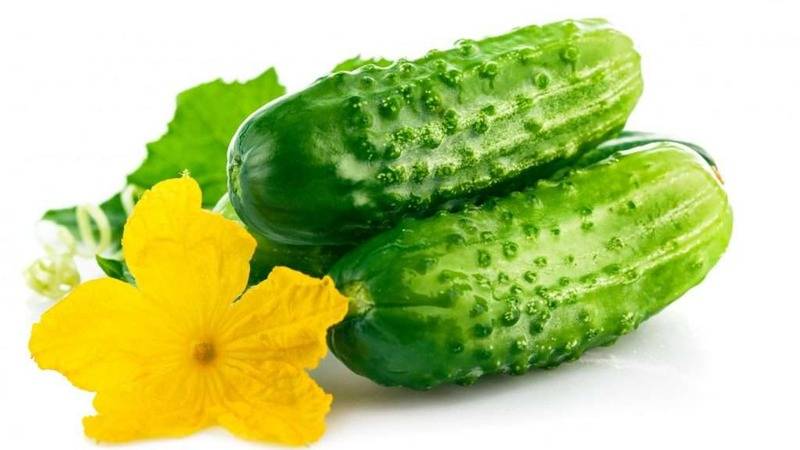 Castraveți noi