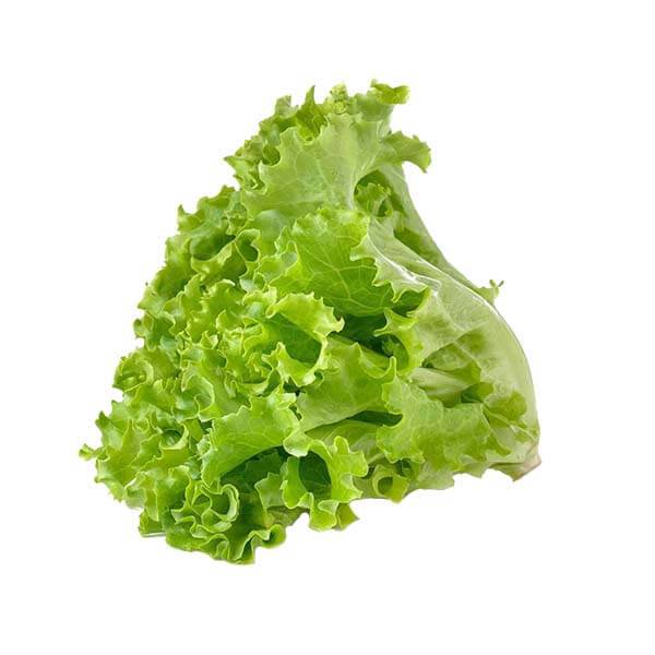 Salată creață