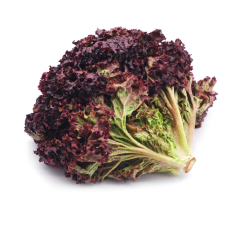 Salată Lollo rosa