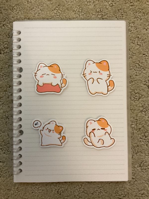Cat Sticker Pack (Big 4 count)