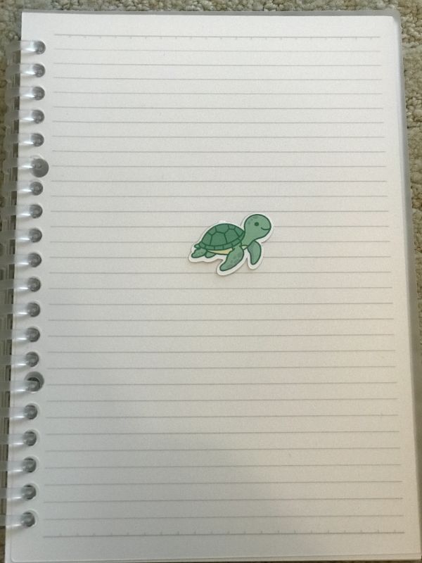 Smiling Sea Turtle (Small)