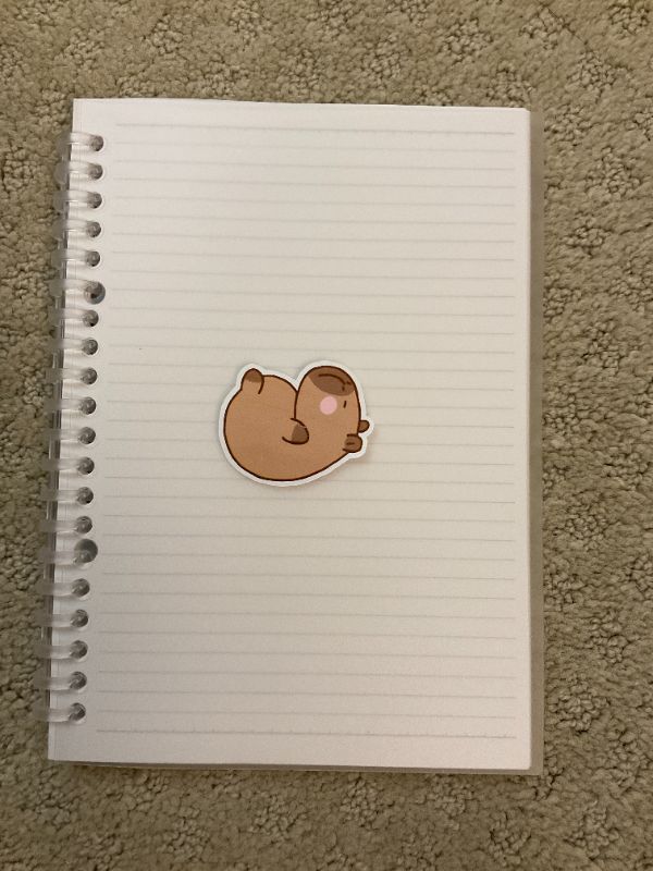 Belly-Up Capybara (Big)