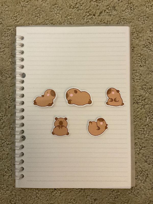 Capybara Sticker Pack (Small 5 count)