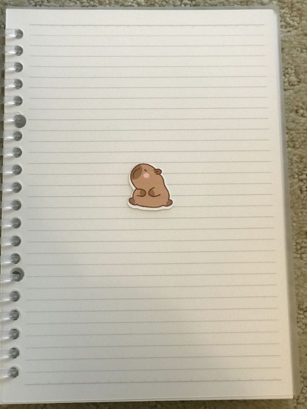 Hmph Capybara (Small)