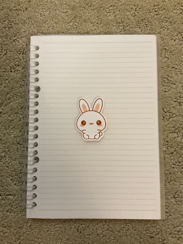 Welcoming Bunny (Big)