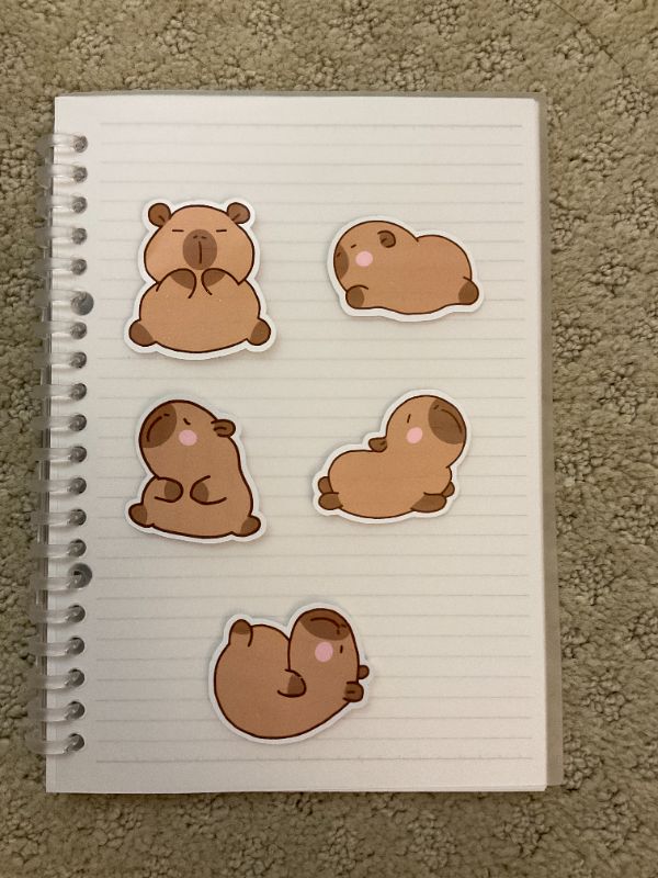 Capybara Sticker Pack (Big 5 count)