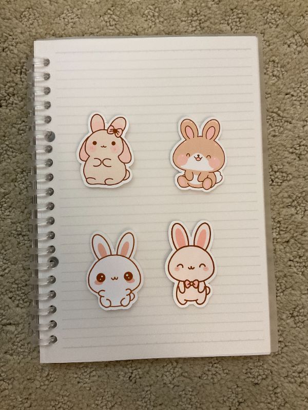 Bunny Sticker Pack (Big 4 count)