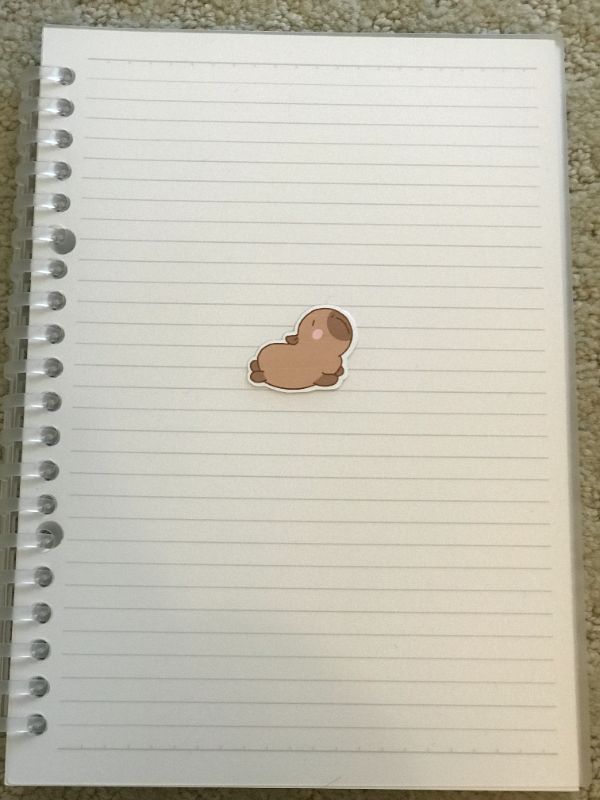 Stretching Capybara (Small)