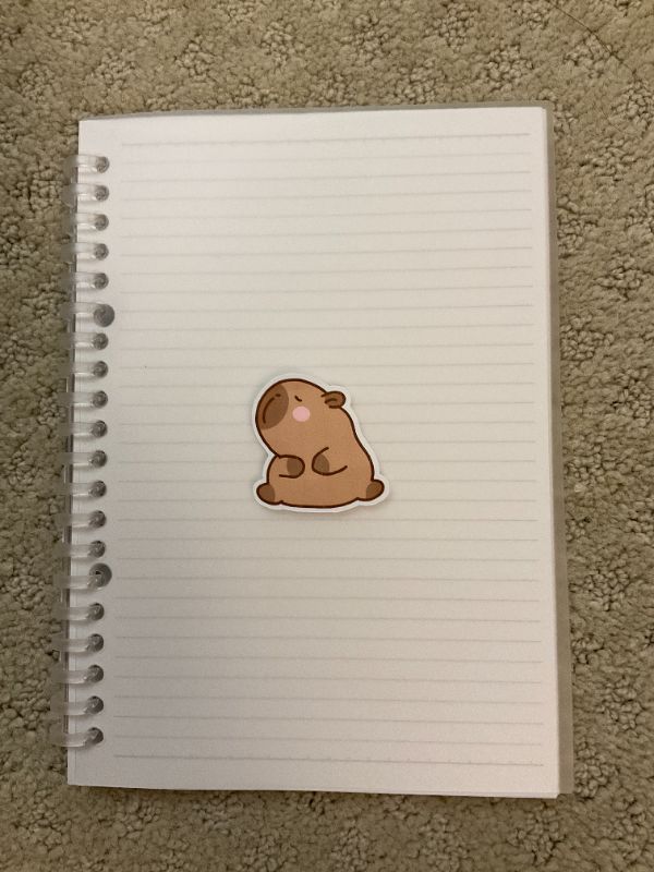 Hmph Capybara (Big)