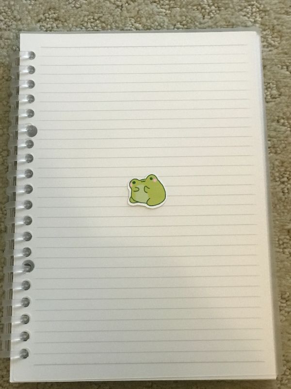 Thinking Frog (Small)