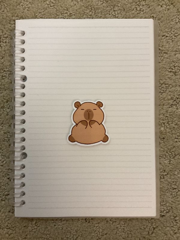 Calm Capybara (Big)