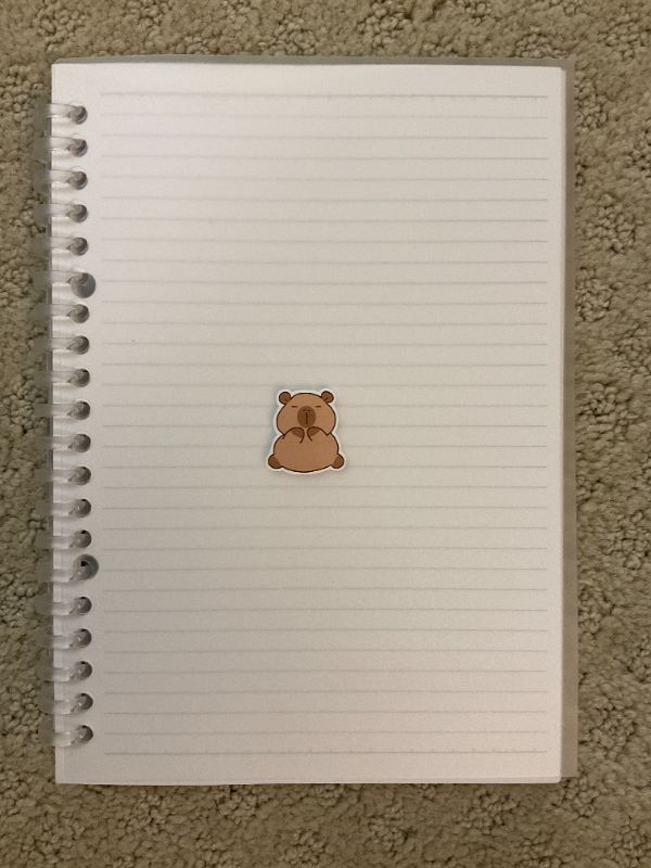 Calm Capybara (Small)