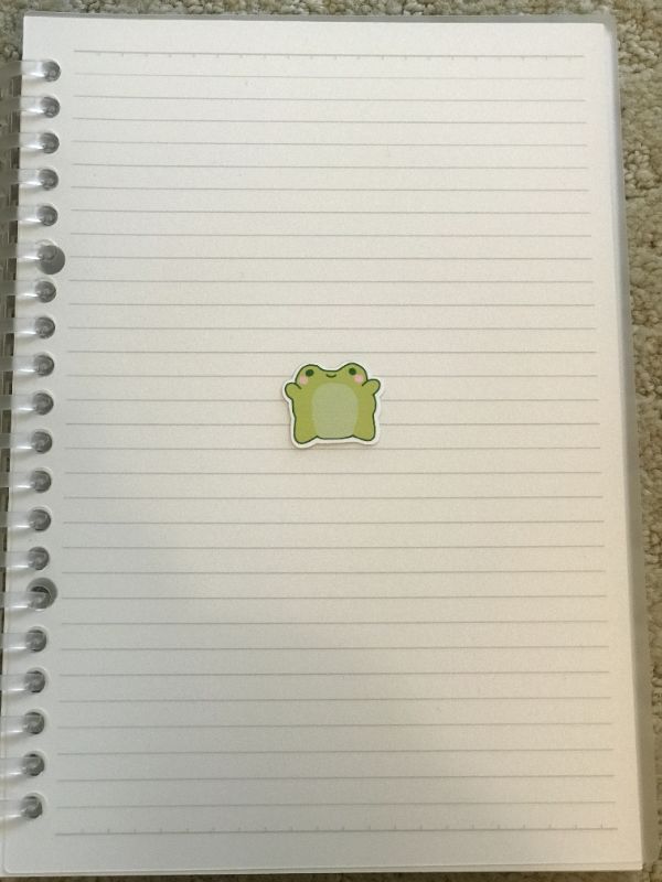 Excited Frog (Small)