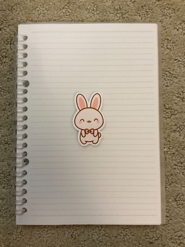 Velvet Ribbon Bunny (Big)