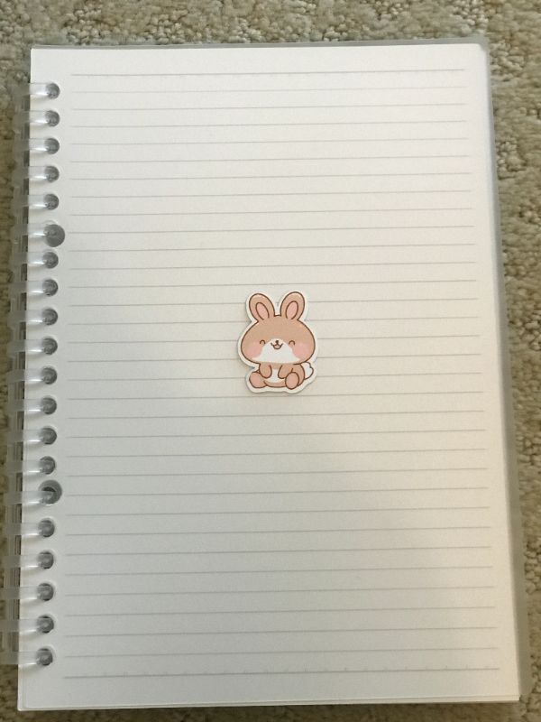 Chubby Happy Bunny (Small)
