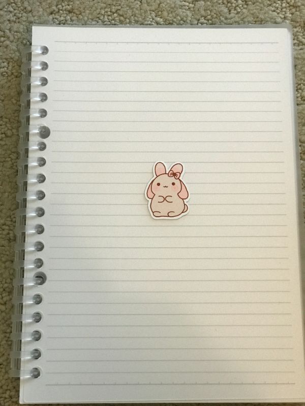Rosy Bow Bunny (Small)