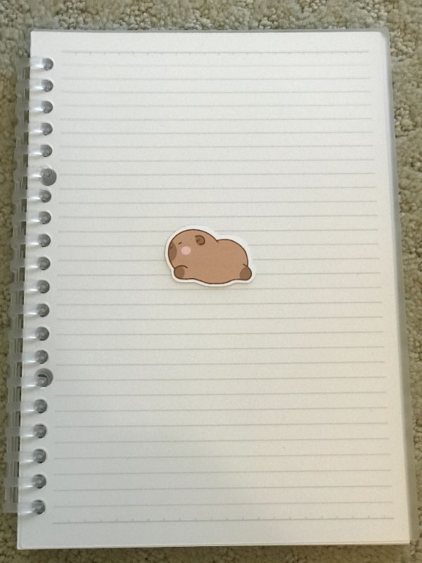 Resting Capybara (Small)