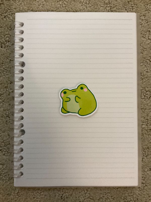 Thinking Frog (Big)